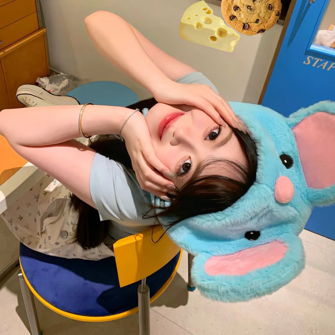 杜丝先生